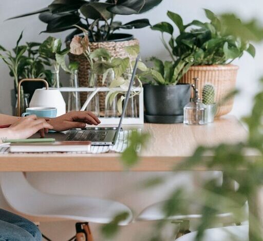 Tips for Creating a Cozy and Inviting Home Office Space