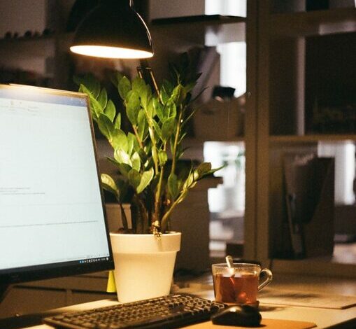 Tips for Creating a Cozy and Inviting Home Office Space